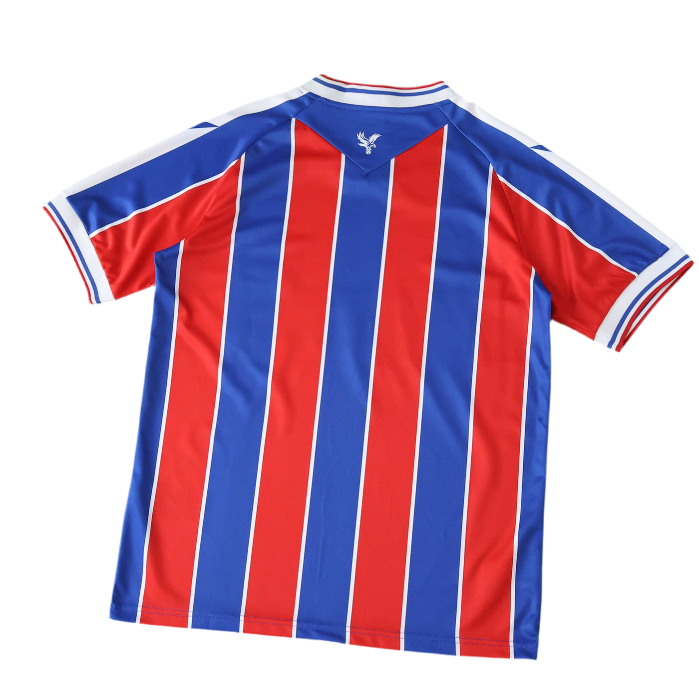 Crystal Palace Titular Camiseta 25/26