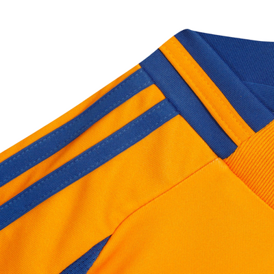 Kids Kit Tigres Titular 2024/2025