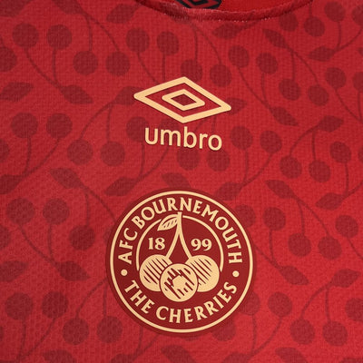 Bournemouth Pre Match Visitante Camiseta 2024/2025