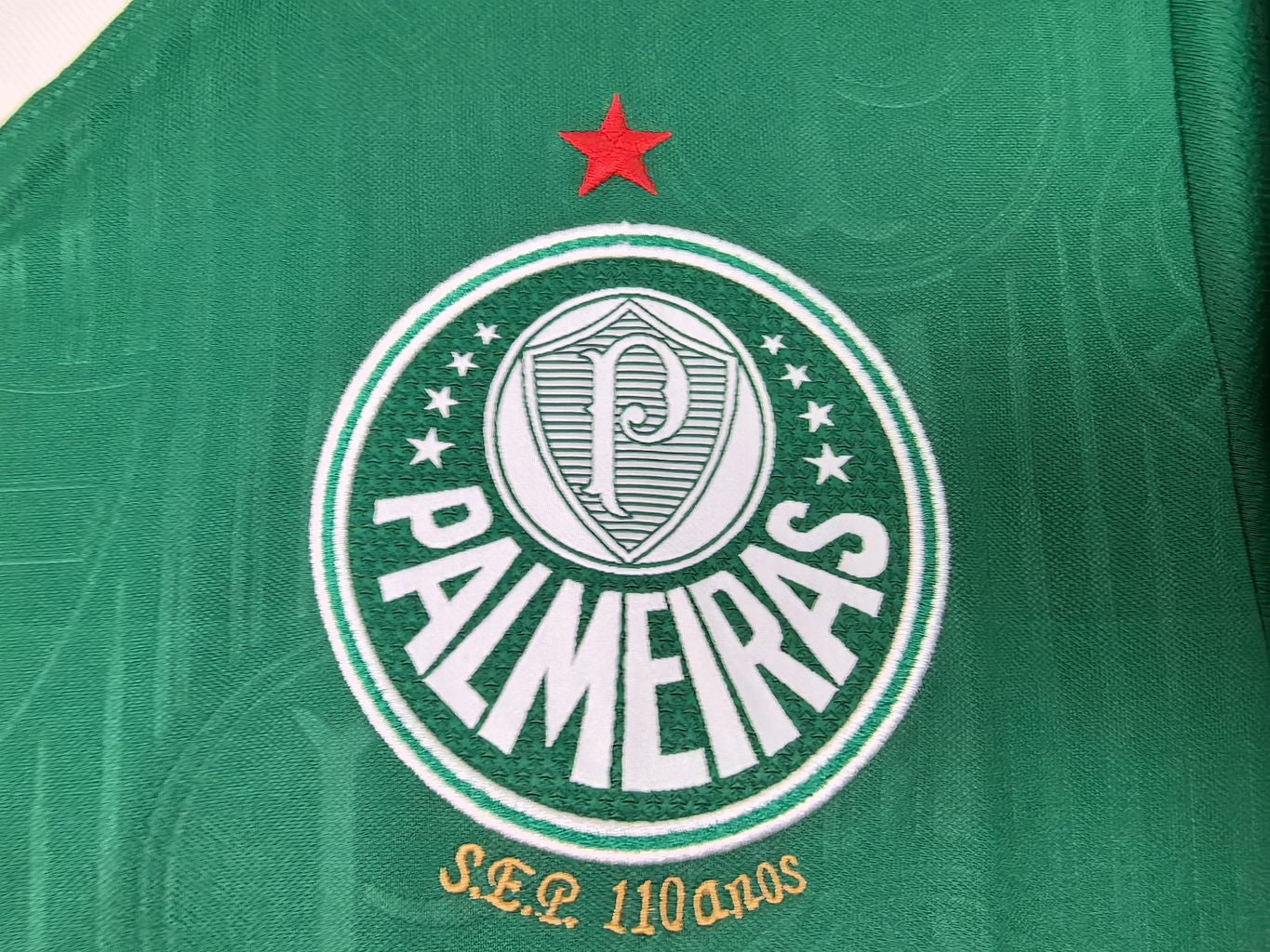 Palmeiras Titular Camiseta 2024/2025