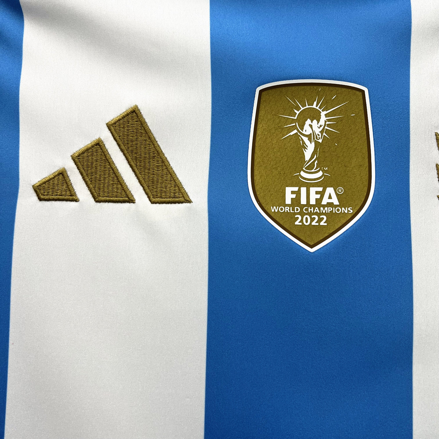 Argentina Titular Camiseta 2024/2025