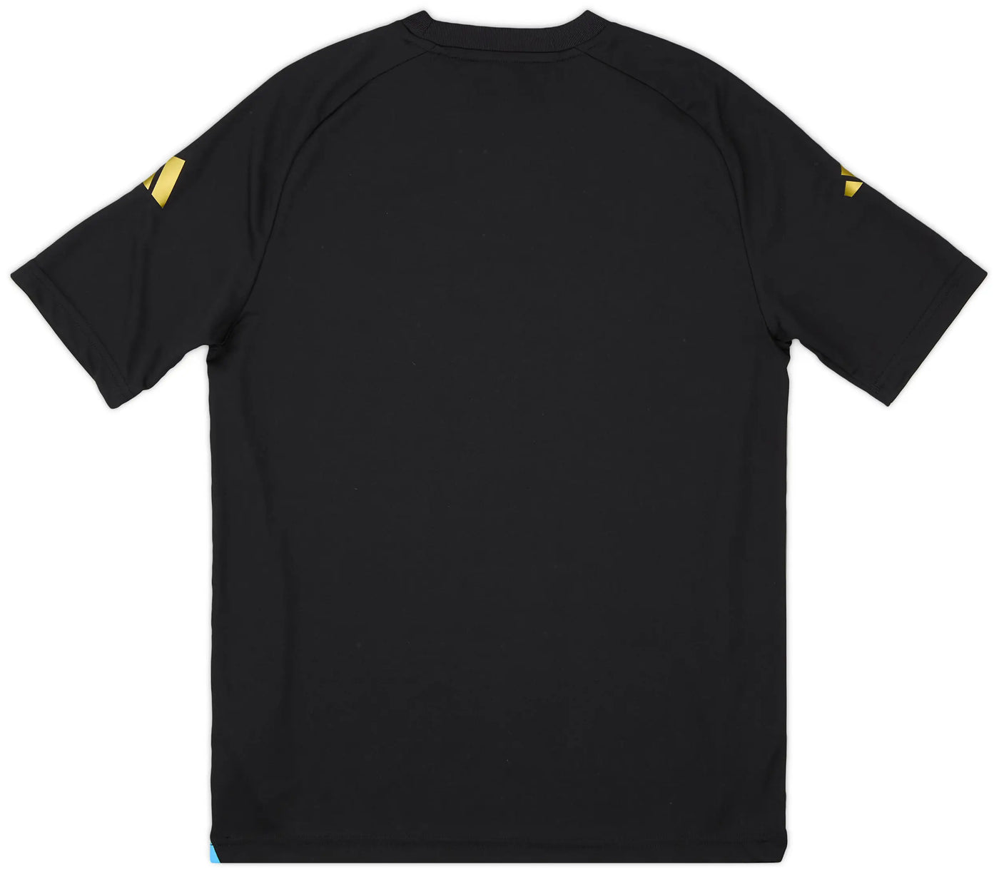 CAMISETA PRE-JUEGO ARGENTINA COPA AMÉRICA 2024 HOMBRE - Vitrine Futebolística