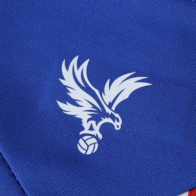 Crystal Palace Titular Camiseta 25/26