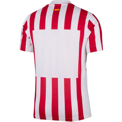 Atletico Madrid Camiseta 2025/26 - Version Jugador